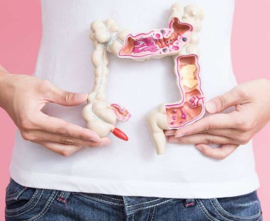 person holding colon medical educational prop image